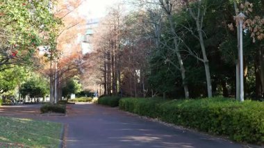 Tatsuminomori Ryokudo Parkı, Japonya Tokyo 2025