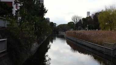 Sendaiborigawa Parkı, Japonya Tokyo Ocak 2025