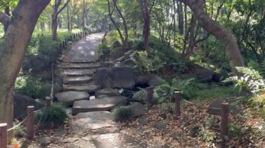 Tokyo Kitanomaru Parkı Kasım 2024