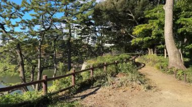 Tokyo Kitanomaru Parkı Kasım 2024