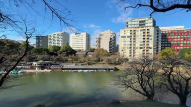 Tokyo Kitanomaru Parkı Kasım 2024