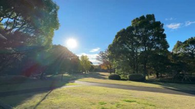 Tokyo Kitanomaru Parkı Kasım 2024