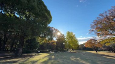 Tokyo Kitanomaru Parkı Kasım 2024