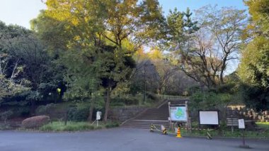 Tokyo Kitanomaru Parkı Kasım 2024