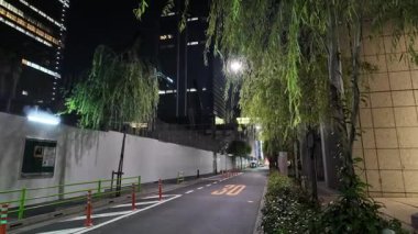 Yaesu Planlanmış Yeniden Geliştirme Alanı Gece Manzarası, Japonya Temmuz 2024