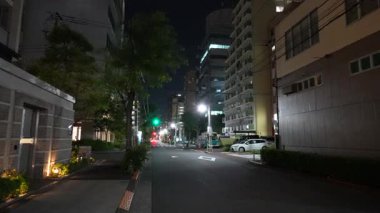 Tokyo Kita Shinagawa Yeniden Geliştirme Alanı Gece Görüşü