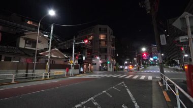 Tokyo Kita Shinagawa Yeniden Geliştirme Alanı Gece Görüşü