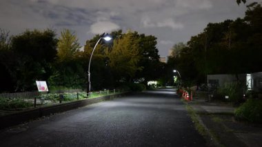 Sarue Onshi Park Gece Manzarası, Japonya Tokyo 2025