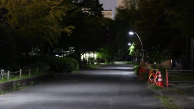 Sarue Onshi Park Gece Manzarası, Japonya Tokyo 2025