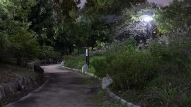Sarue Onshi Park Gece Manzarası, Japonya Tokyo 2025
