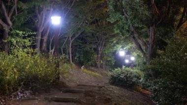 Sarue Onshi Park Gece Manzarası, Japonya Tokyo 2025