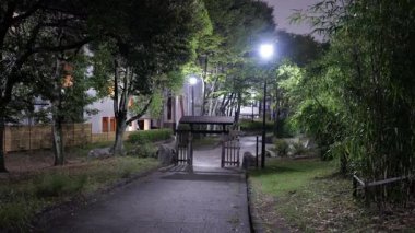 Sarue Onshi Park Gece Manzarası, Japonya Tokyo 2025
