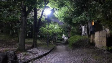 Sarue Onshi Park Gece Manzarası, Japonya Tokyo 2025