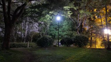 Sarue Onshi Park Gece Manzarası, Japonya Tokyo 2025
