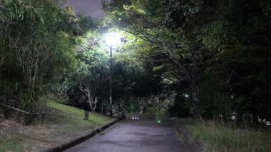 Sarue Onshi Park Gece Manzarası, Japonya Tokyo 2025