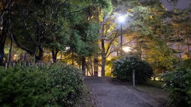 Sarue Onshi Park Gece Manzarası, Japonya Tokyo 2025