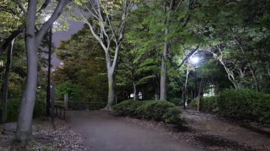 Sarue Onshi Park Gece Manzarası, Japonya Tokyo 2025