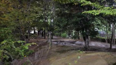 Sarue Onshi Park Gece Manzarası, Japonya Tokyo 2025