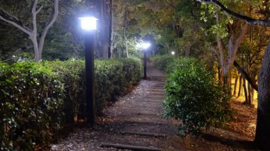 Sarue Onshi Park Gece Manzarası, Japonya Tokyo 2025