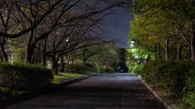 Sarue Onshi Park Gece Manzarası, Japonya Tokyo 2025