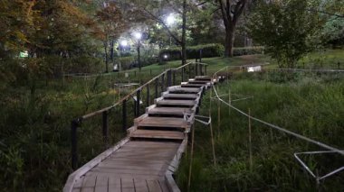 Sarue Onshi Park Gece Manzarası, Japonya Tokyo 2025