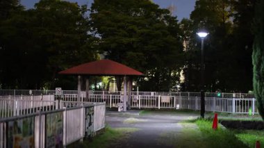 Sarue Onshi Park Gece Manzarası, Japonya Tokyo 2025