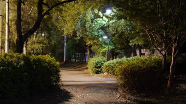 Sarue Onshi Park Gece Manzarası, Japonya Tokyo 2025