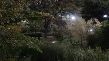 Sarue Onshi Park Gece Manzarası, Japonya Tokyo 2025