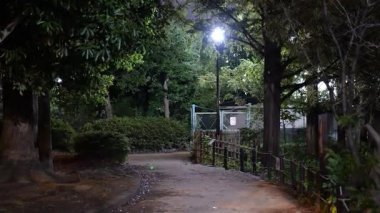 Sarue Onshi Park Gece Manzarası, Japonya Tokyo 2025