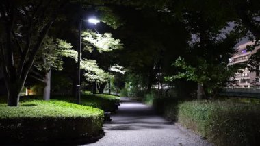Sarue Onshi Park Gece Manzarası, Japonya Tokyo 2025