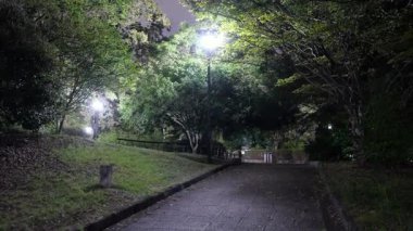 Sarue Onshi Park Gece Manzarası, Japonya Tokyo 2025