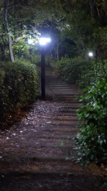 Sarue Onshi Park Gece Manzarası, Japonya Tokyo 2025