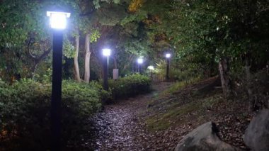 Sarue Onshi Park Gece Manzarası, Japonya Tokyo 2025