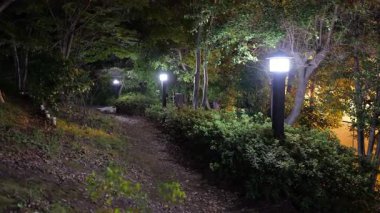 Sarue Onshi Park Gece Manzarası, Japonya Tokyo 2025