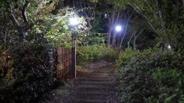 Sarue Onshi Park Gece Manzarası, Japonya Tokyo 2025