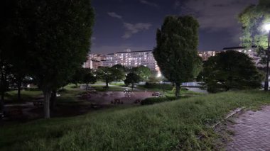 Shioiri Parkı, Japonya Tokyo Gece Manzarası 2025