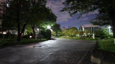 Sumida Parkı, Japonya Tokyo Gece Manzarası Ekim 2025