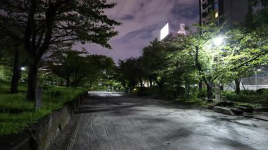 Sumida Parkı, Japonya Tokyo Gece Manzarası Ekim 2025