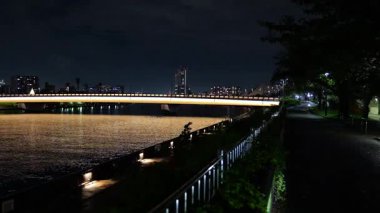 Sakurabashi Japonya 'da, Tokyo Gece Manzarası Ekim 2025