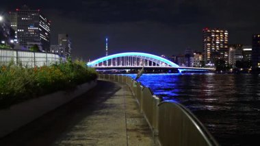 Shinkawa Parkı, Japonya Tokyo Gece Manzarası 2025