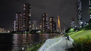 Shinkawa Parkı, Japonya Tokyo Gece Manzarası 2025