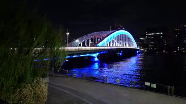 Shinkawa Parkı, Japonya Tokyo Gece Manzarası 2025