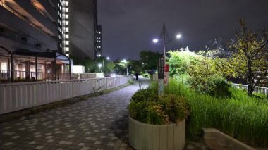 Shinkawa Parkı, Japonya Tokyo Gece Manzarası 2025