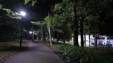 Kiyosumi Parkı, Japonya Tokyo Gece Manzarası 2025
