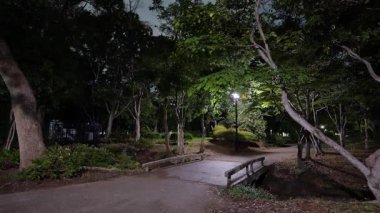 Kiyosumi Parkı, Japonya Tokyo Gece Manzarası 2025