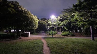 Kiyosumi Parkı, Japonya Tokyo Gece Manzarası 2025