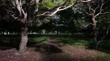 Kiyosumi Parkı, Japonya Tokyo Gece Manzarası 2025