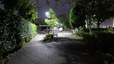 Etchujima Park Gece Manzarası, Japonya Tokyo Eylül 2025