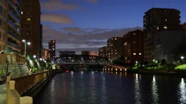 Onagigawa Nehri, Japonya Tokyo Gece Manzarası Temmuz 2025