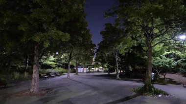 Kiba Parkı, Japonya Tokyo Gece Manzarası 2025